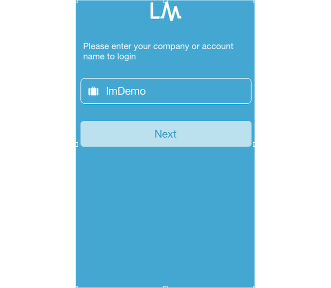 Example Mobile Log-In