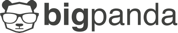 Big Panda logo