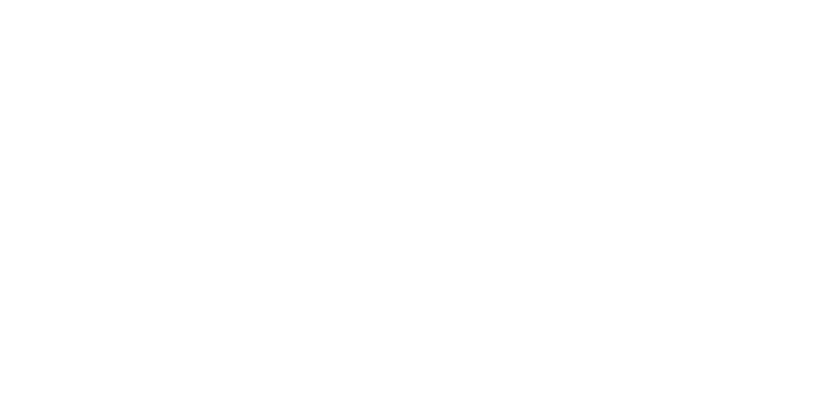 CL White Synoptek