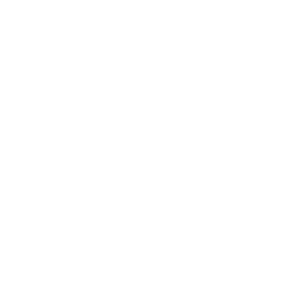 iVision Logo