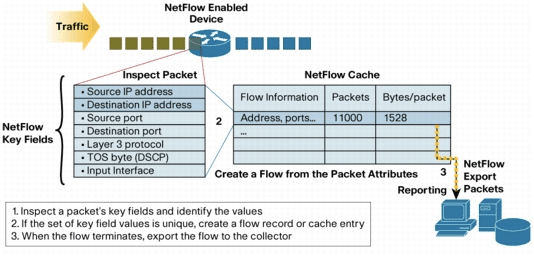 Netflow's Flow Record output diagram.