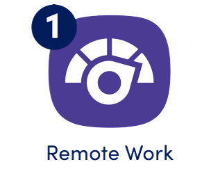 Remote Work Icon