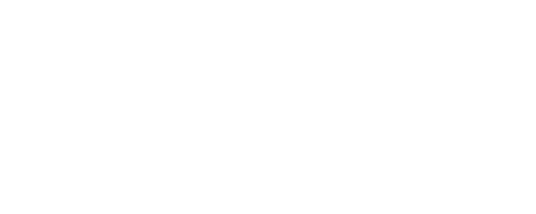 White United Airlines Logo