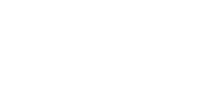 Vpay White Logo