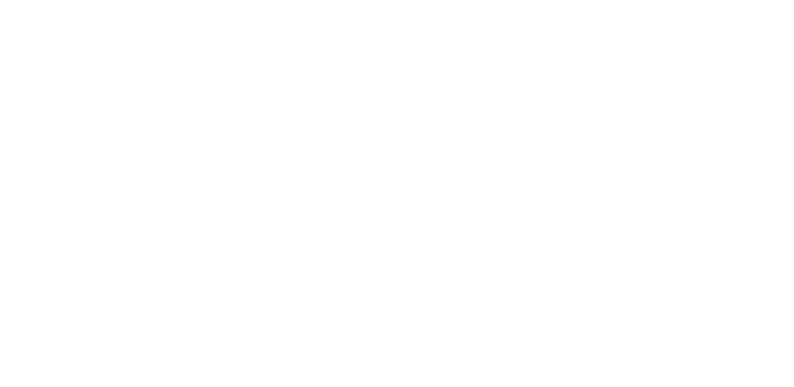 Vpayホワイトロゴ