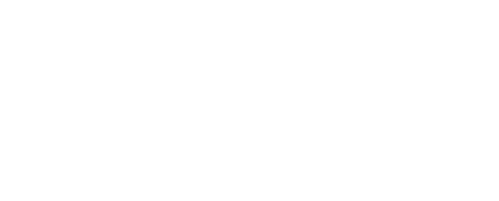 raysearch logo