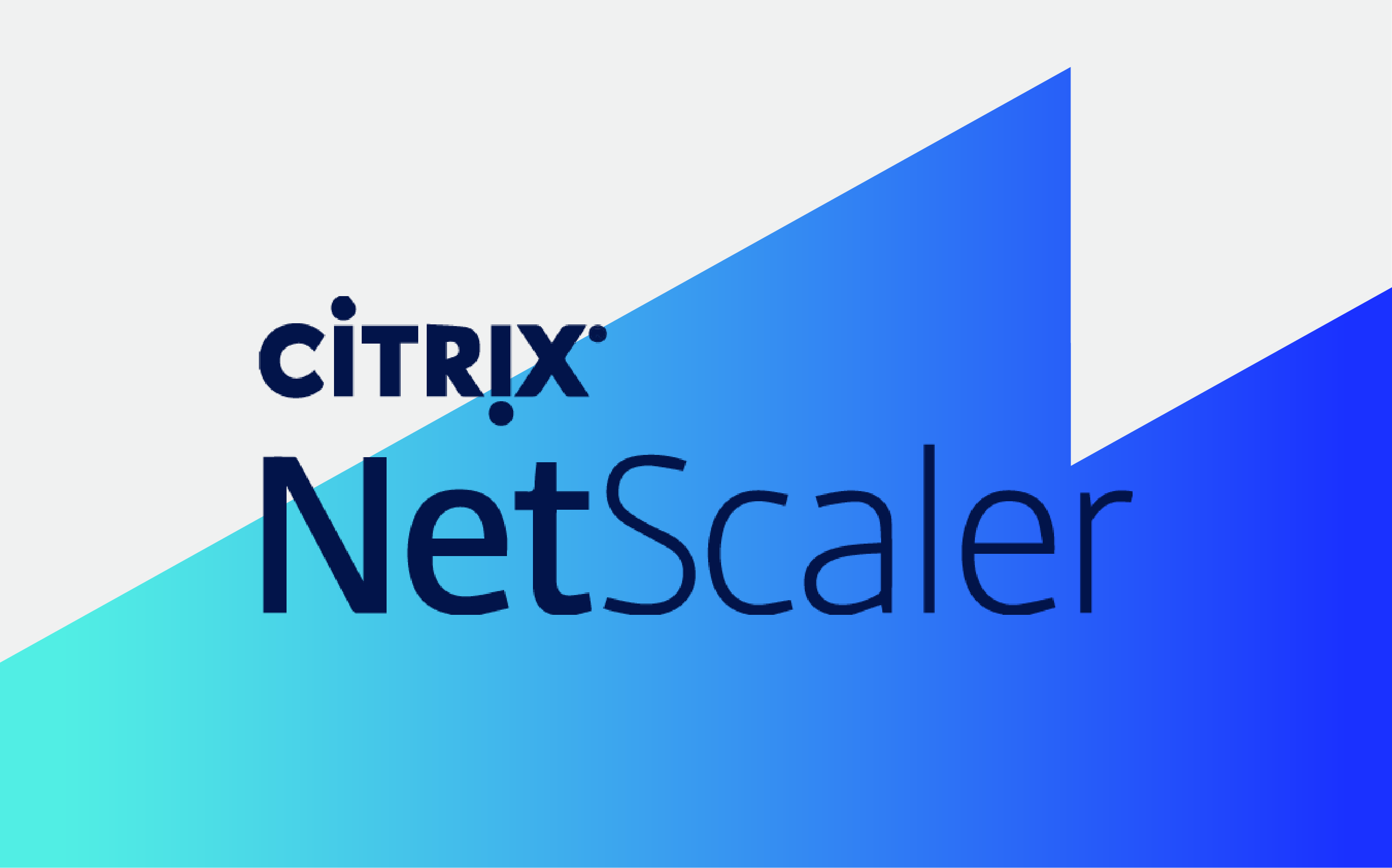What is Citrix NetScaler, and how does it work?