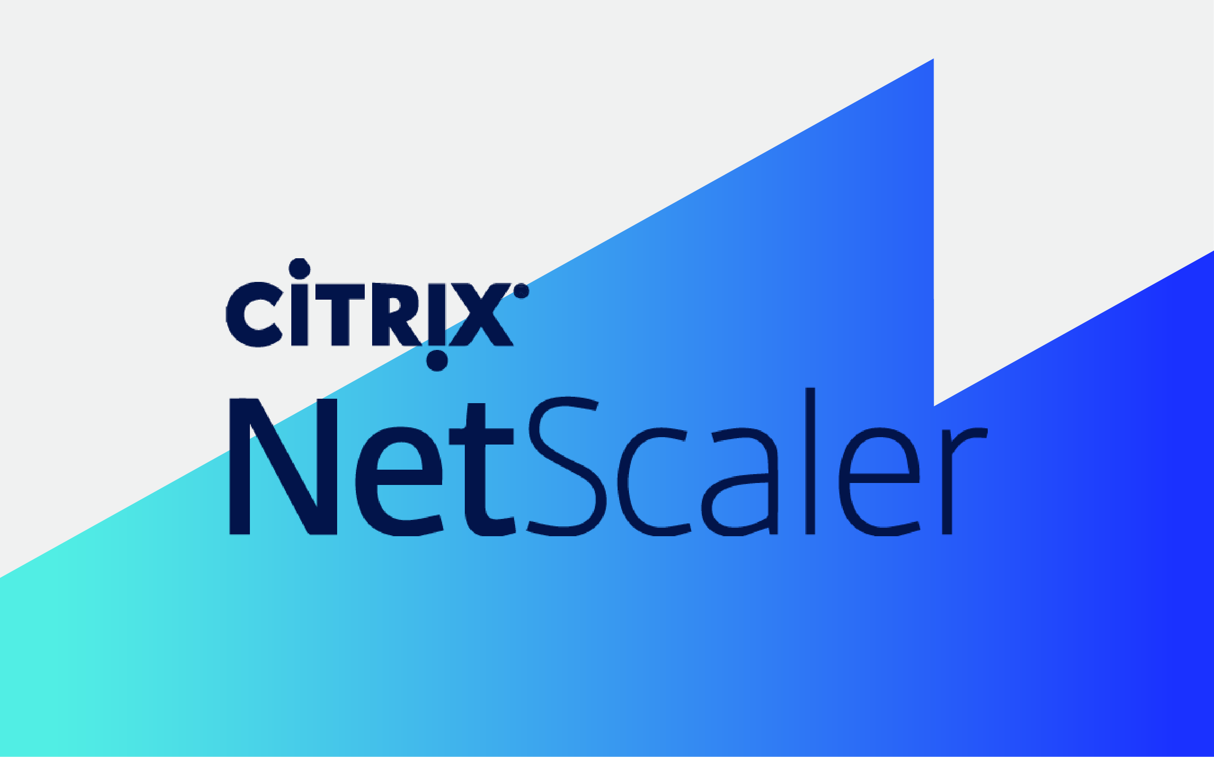 Citrix NetScaler とは何ですか?また、どのように機能しますか?