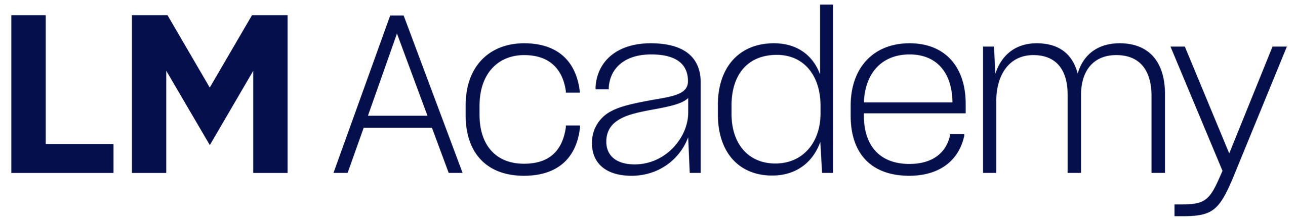 LM Academy Logo